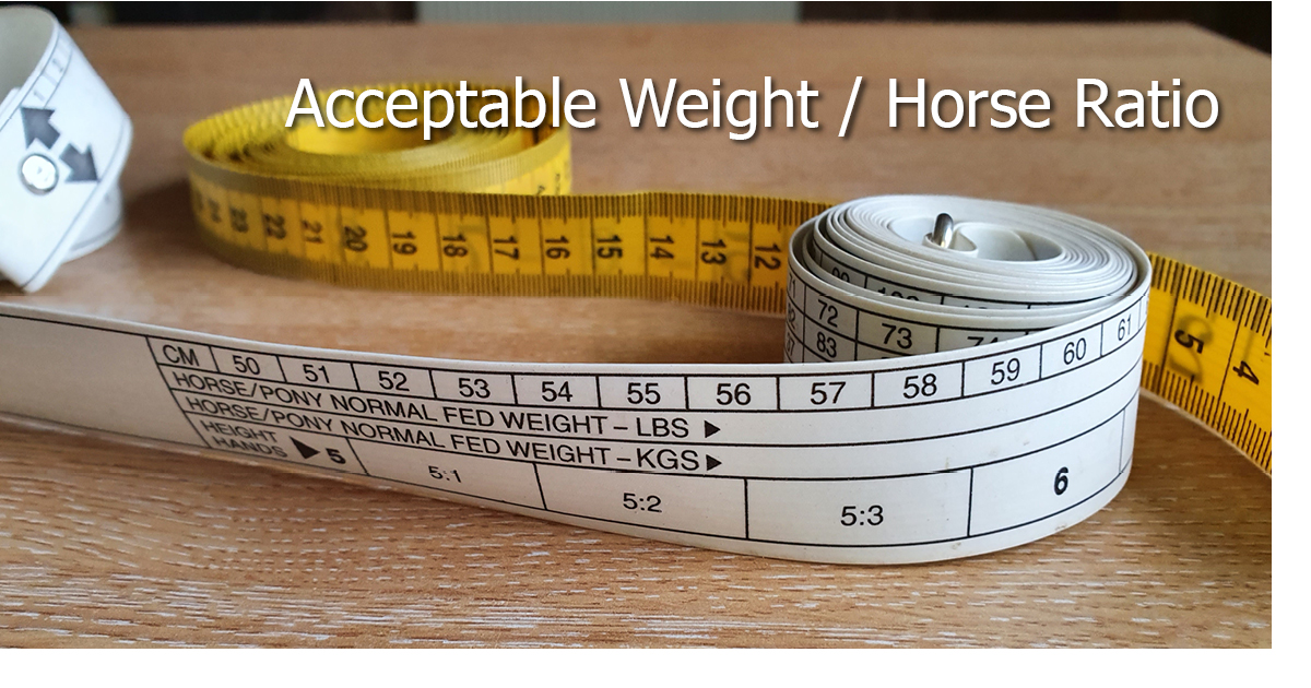 Acceptable weight / horse ratio (c) Expo Life 2022