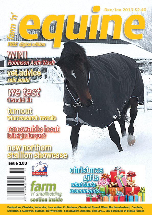 Equine Dec-Jan 2013-2014 - back issue
