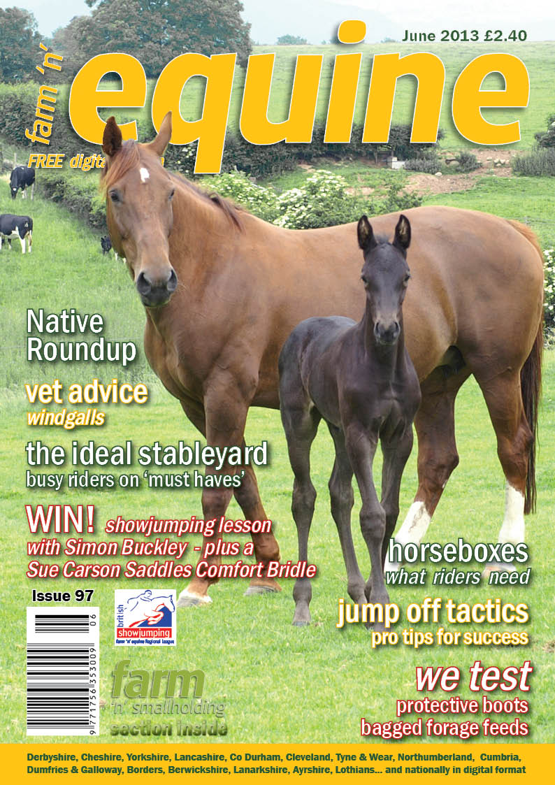 Equine June 2013 - back issue