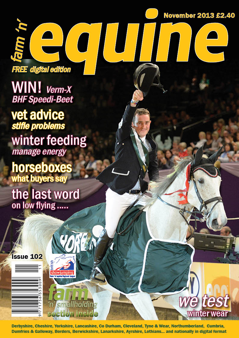 Equine November 2013 - back issue