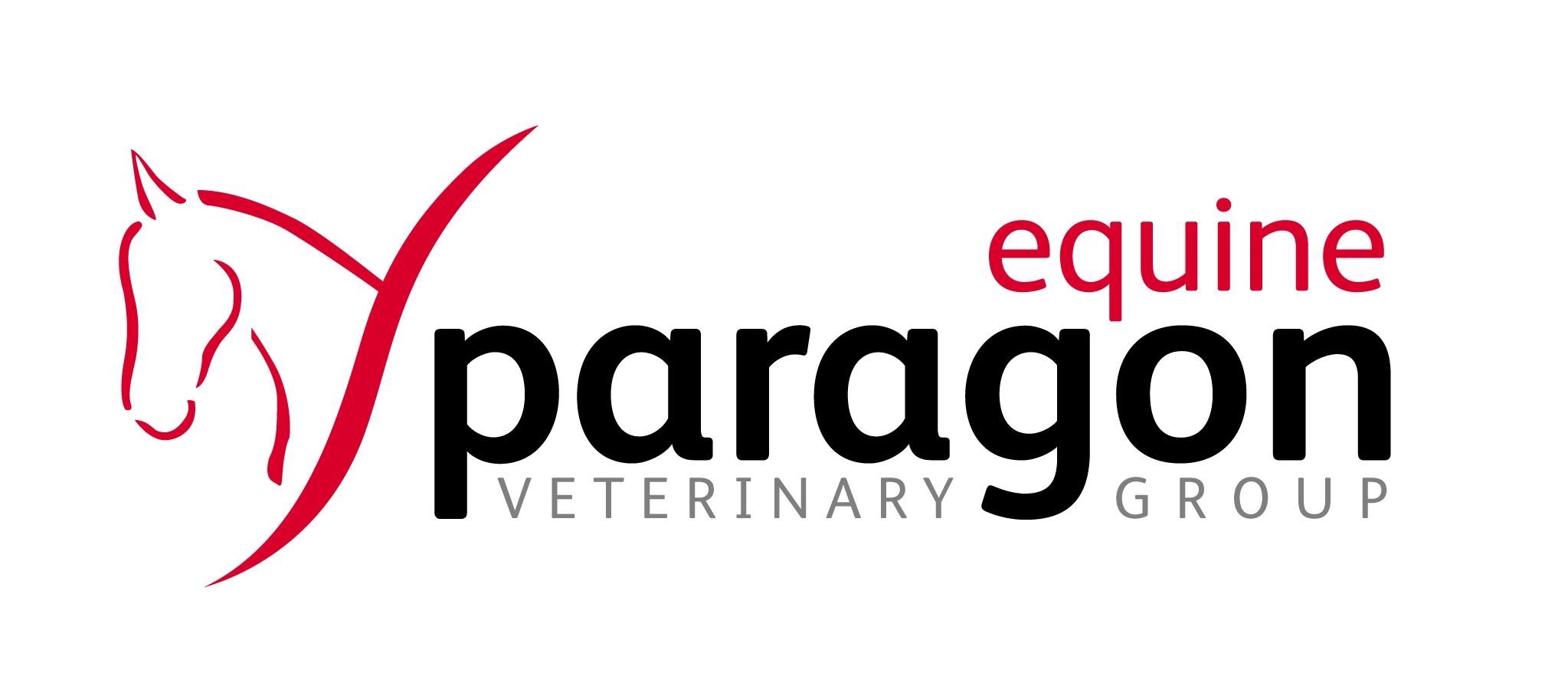 Paragon Veterinary Group - Equine