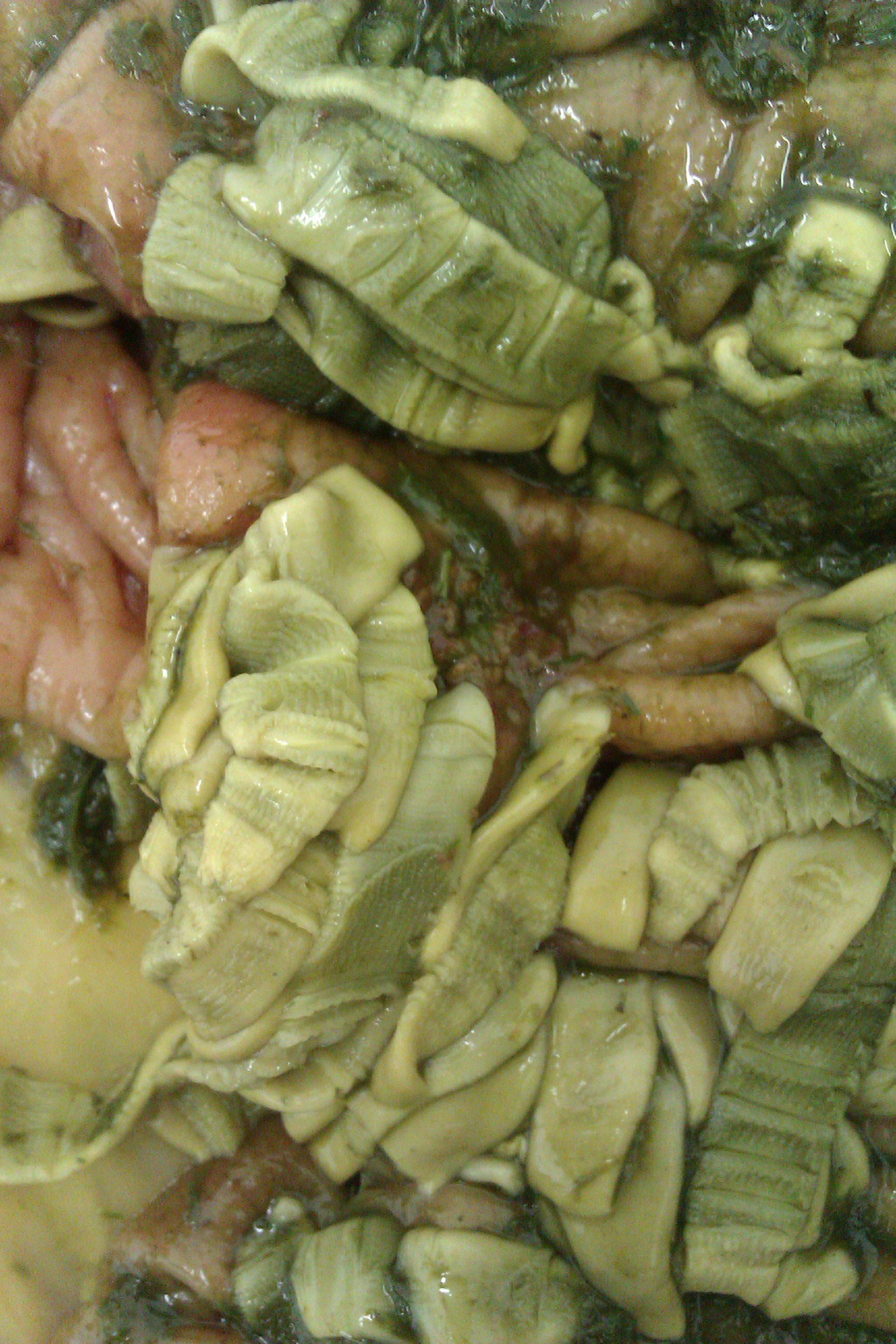 Tapeworm in the horse's gut