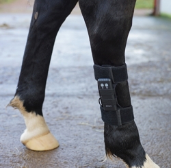  ArcEquine unit in use on a horse's hind leg.