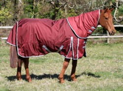 Guardian Equestrian Fence Buster Turnout Rug.