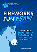 Blue Cross Call To Ditch New Year's Eve Fireworks