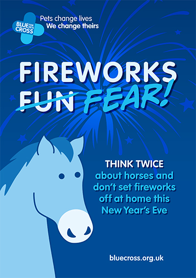 Blue Cross Fireworks Poster