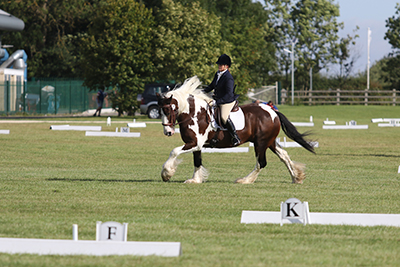 Mane for days - Lyndsay Birch takes second place in her arena in the senior open dressage